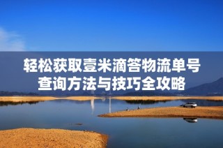 轻松获取壹米滴答物流单号查询方法与技巧全攻略
