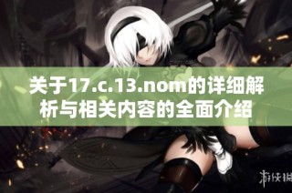 关于17.c.13.nom的详细解析与相关内容的全面介绍