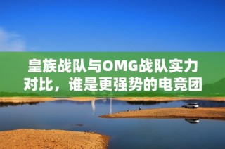 皇族战队与OMG战队实力对比，谁是更强势的电竞团队