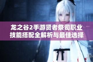 龙之谷2手游贤者祭司职业技能搭配全解析与最佳选择推荐