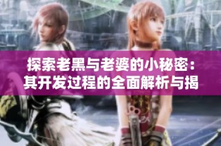 探索老黑与老婆的小秘密：其开发过程的全面解析与揭秘