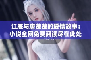 江辰与唐楚楚的爱情故事：小说全网免费阅读尽在此处