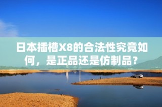 日本插槽X8的合法性究竟如何，是正品还是仿制品？