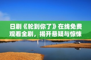 日剧《轮到你了》在线免费观看全剧，揭开悬疑与惊悚的剧情面纱