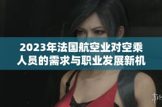 2023年法国航空业对空乘人员的需求与职业发展新机遇分析
