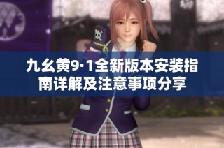 九幺黄9·1全新版本安装指南详解及注意事项分享
