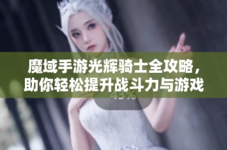 魔域手游光辉骑士全攻略，助你轻松提升战斗力与游戏体验