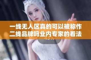 一线无人区真的可以被称作二线品牌吗业内专家的看法是什么