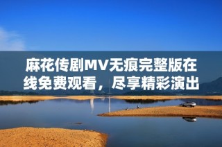 麻花传剧MV无痕完整版在线免费观看，尽享精彩演出。