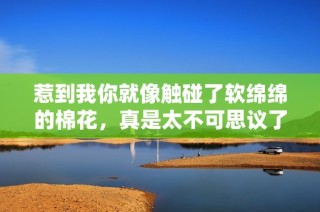惹到我你就像触碰了软绵绵的棉花，真是太不可思议了