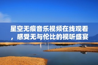 星空无痕音乐视频在线观看，感受无与伦比的视听盛宴