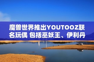 魔兽世界推出YOUTOOZ联名玩偶 包括巫妖王、伊利丹与死亡之翼