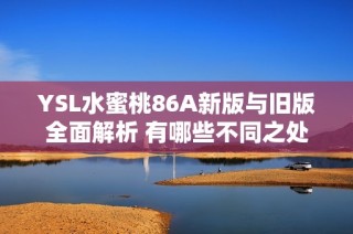 YSL水蜜桃86A新版与旧版全面解析 有哪些不同之处值得关注