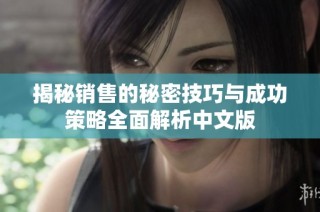 揭秘销售的秘密技巧与成功策略全面解析中文版