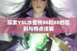 探索YSL水蜜桃86和88的区别与特点详解