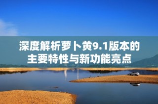深度解析萝卜黄9.1版本的主要特性与新功能亮点
