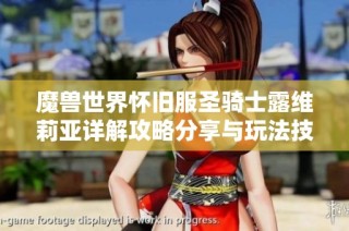 魔兽世界怀旧服圣骑士露维莉亚详解攻略分享与玩法技巧
