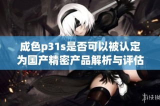 成色p31s是否可以被认定为国产精密产品解析与评估