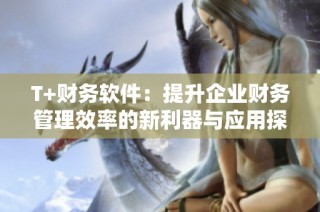 T+财务软件：提升企业财务管理效率的新利器与应用探索