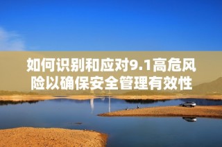 如何识别和应对9.1高危风险以确保安全管理有效性