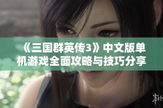 《三国群英传3》中文版单机游戏全面攻略与技巧分享