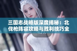 三国志战略版深度揭秘：北伐枪阵容攻略与胜利技巧全面解析