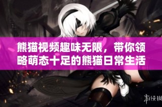 熊猫视频趣味无限，带你领略萌态十足的熊猫日常生活