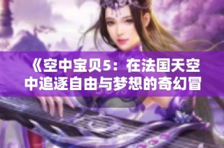 《空中宝贝5：在法国天空中追逐自由与梦想的奇幻冒险》