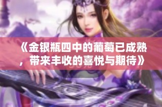 《金银瓶四中的葡萄已成熟，带来丰收的喜悦与期待》