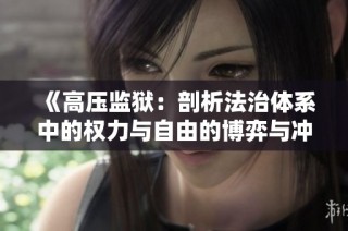 《高压监狱：剖析法治体系中的权力与自由的博弈与冲突》