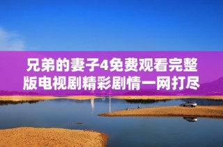 兄弟的妻子4免费观看完整版电视剧精彩剧情一网打尽
