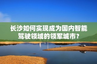 长沙如何实现成为国内智能驾驶领域的领军城市？