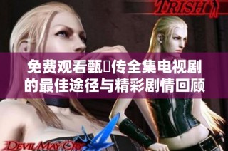 免费观看甄嬛传全集电视剧的最佳途径与精彩剧情回顾