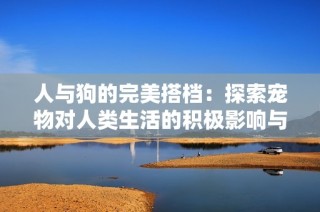 人与狗的完美搭档：探索宠物对人类生活的积极影响与意义