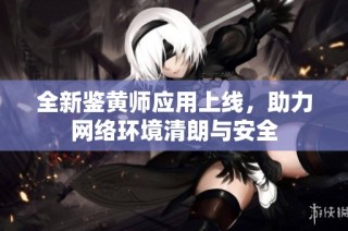全新鉴黄师应用上线，助力网络环境清朗与安全