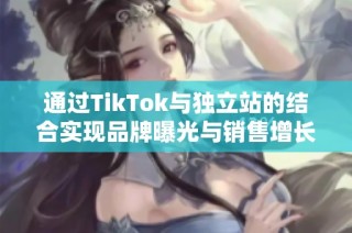通过TikTok与独立站的结合实现品牌曝光与销售增长新机遇