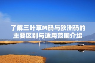 了解三叶草M码与欧洲码的主要区别与适用范围介绍