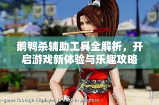 鹅鸭杀辅助工具全解析，开启游戏新体验与乐趣攻略