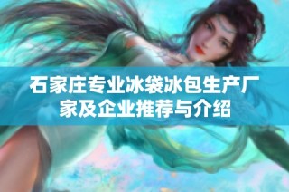 石家庄专业冰袋冰包生产厂家及企业推荐与介绍