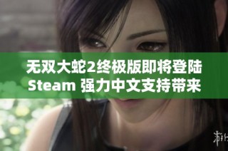 无双大蛇2终极版即将登陆Steam 强力中文支持带来全新体验