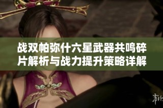 战双帕弥什六星武器共鸣碎片解析与战力提升策略详解