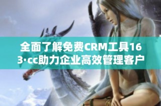 全面了解免费CRM工具163·cc助力企业高效管理客户关系