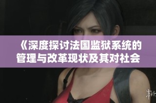 《深度探讨法国监狱系统的管理与改革现状及其对社会的影响》