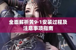 全面解析黄9·1安装过程及注意事项指南