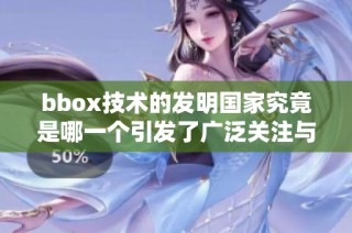 bbox技术的发明国家究竟是哪一个引发了广泛关注与探讨