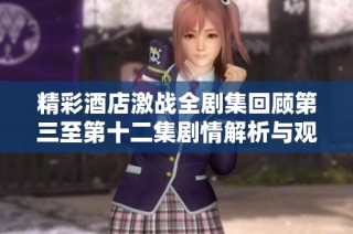精彩酒店激战全剧集回顾第三至第十二集剧情解析与观看指南