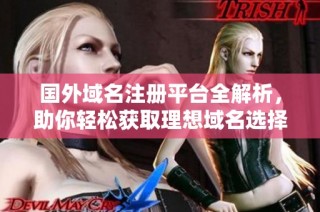 国外域名注册平台全解析，助你轻松获取理想域名选择