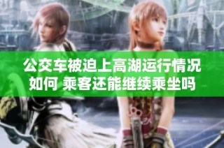 公交车被迫上高湖运行情况如何 乘客还能继续乘坐吗