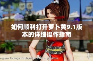 如何顺利打开萝卜黄9.1版本的详细操作指南