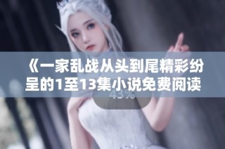 《一家乱战从头到尾精彩纷呈的1至13集小说免费阅读全文》